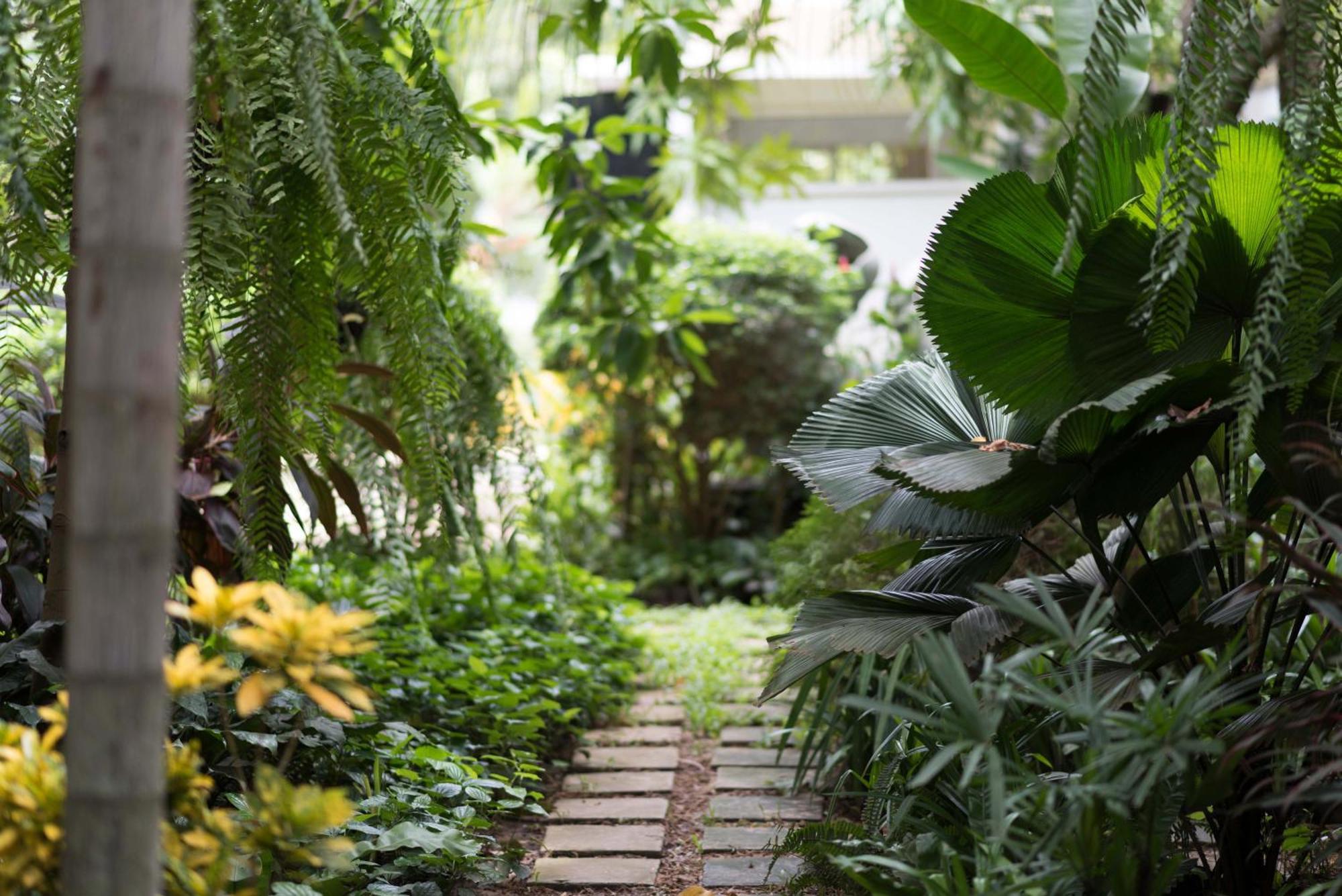 Sokkhak Boutique Resort & Spa Siem Reap Bagian luar foto